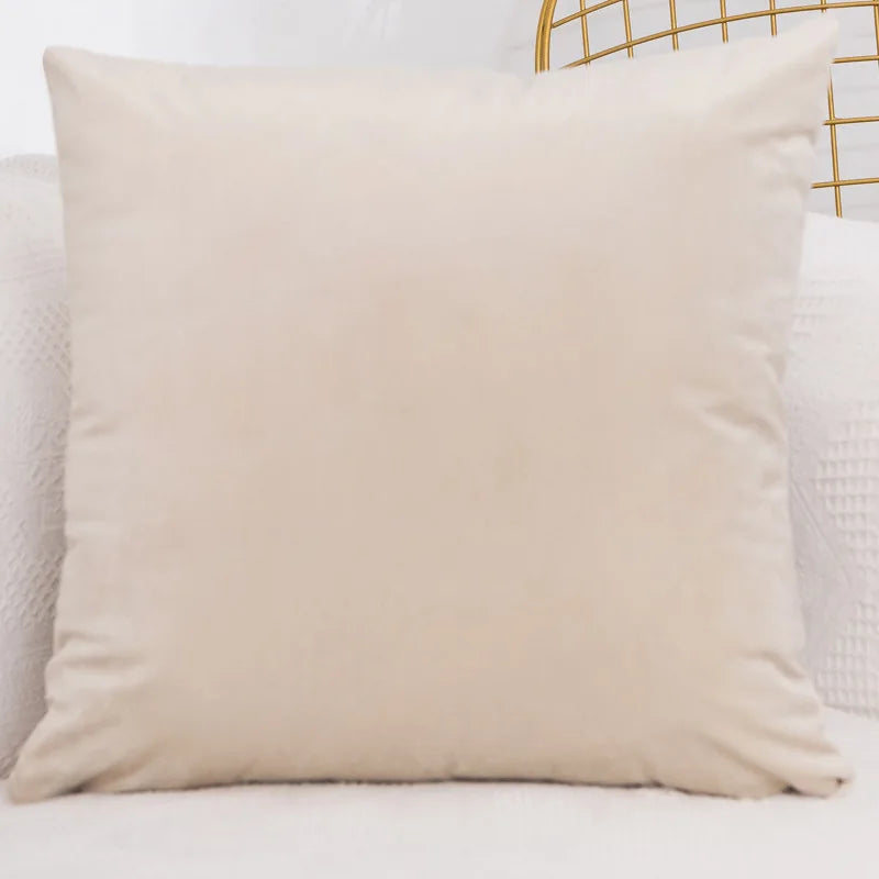 Velvet Throw Pillow Cover – Soft, Stylish & Affordable Home Touch